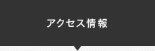 アクセス情報